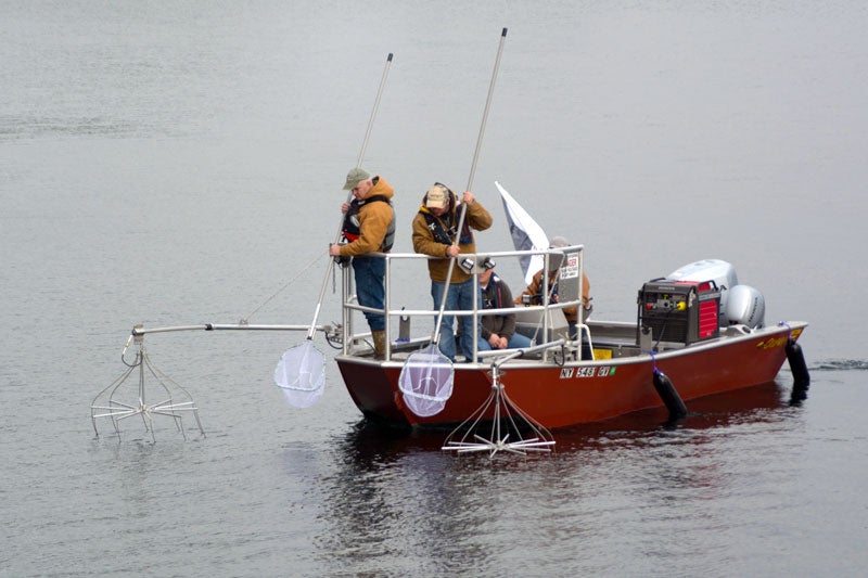 Men on boat with nets