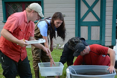 Jefferson Project researchers sort samples for further analysis